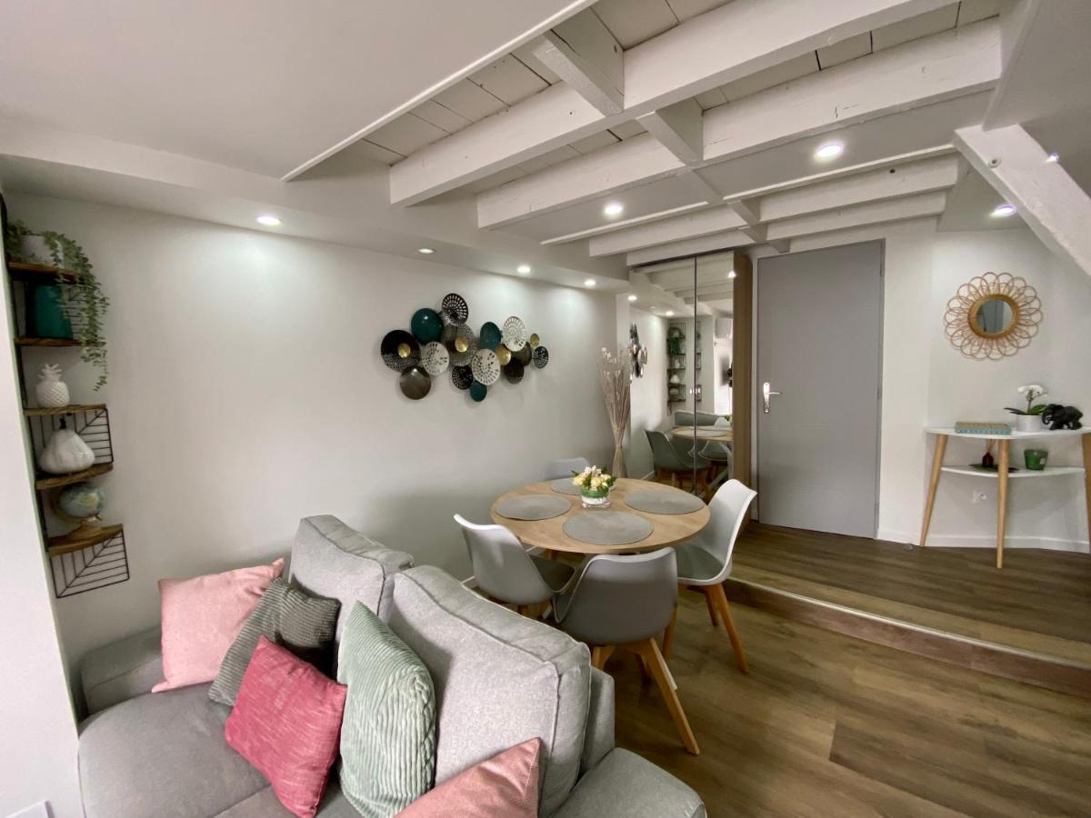 Comfortable Air-Conditioned T3 In The Heart Of Amboise With Parking Space Extérieur photo
