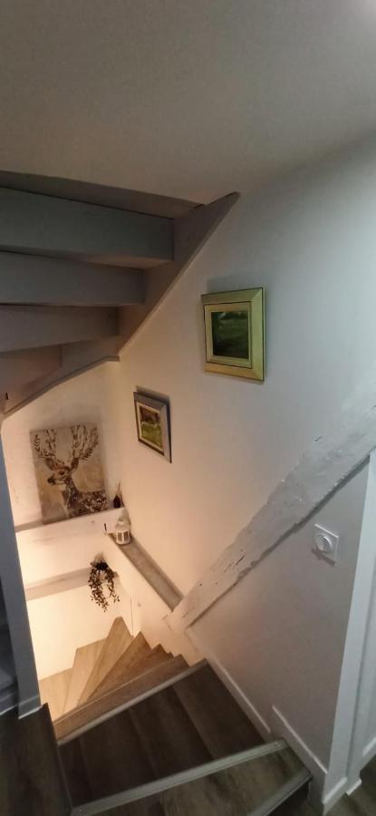 Comfortable Air-Conditioned T3 In The Heart Of Amboise With Parking Space Extérieur photo